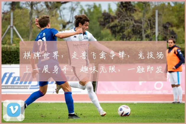 棋牌世界，走兽飞禽争锋，竞技场上一展身手，趣味无限，一触即发