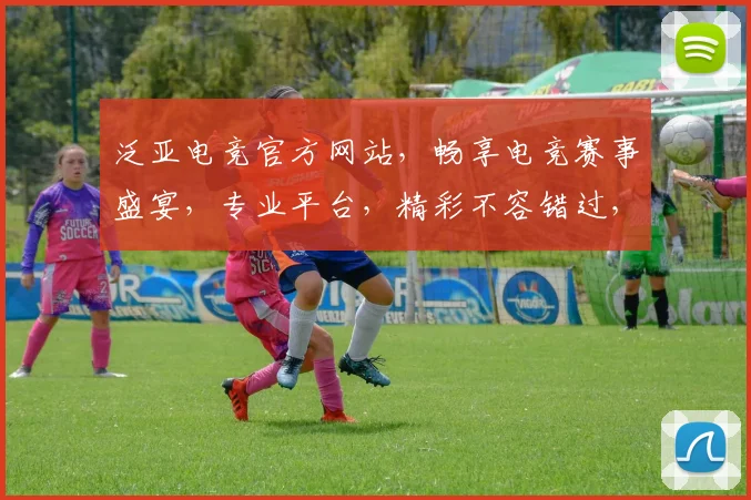 泛亚电竞官方网站，畅享电竞赛事盛宴，专业平台，精彩不容错过，助力电竞梦想起航