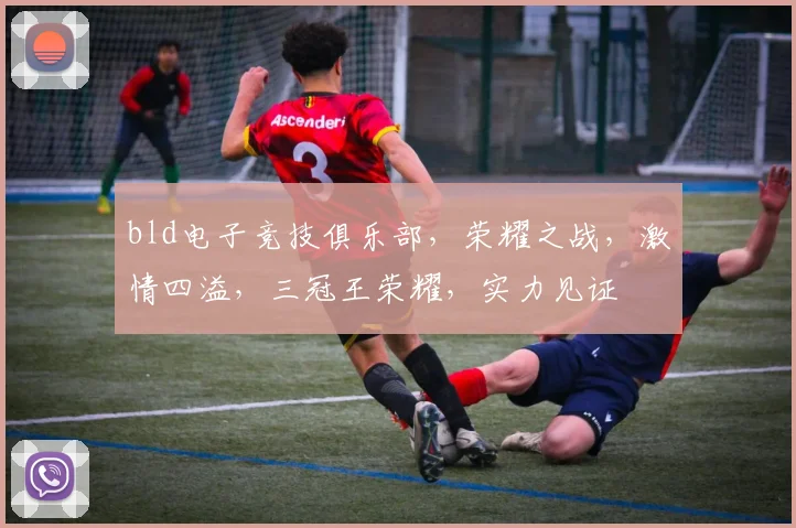 bld电子竞技俱乐部，荣耀之战，激情四溢，三冠王荣耀，实力见证